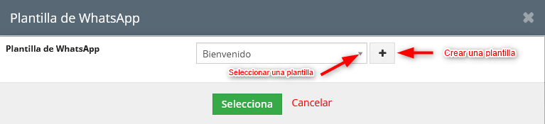 Selección de plantilla