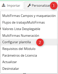 Menú Personalizar > Configurar plantilla
